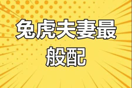生肖兔的最佳婚配 谁跟属兔人更配对