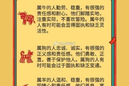 属鼠女金牛座配对合适吗