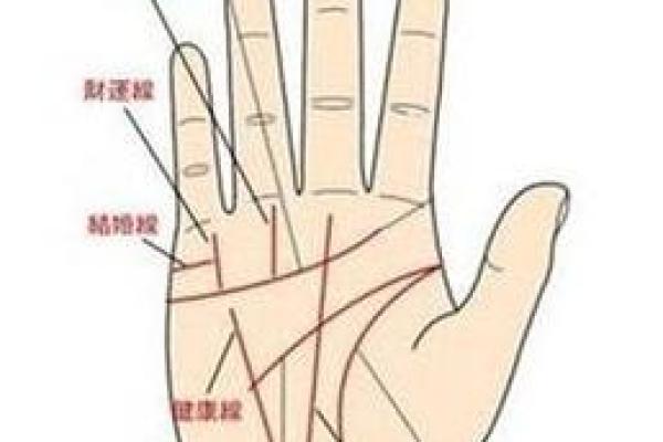 手相算命：几种重要的手纹图解