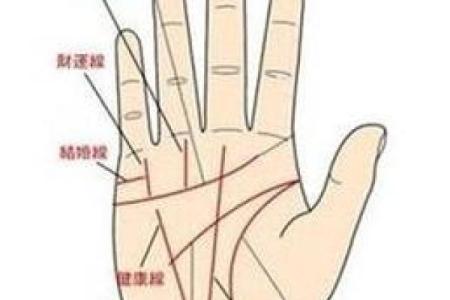 手相算命：几种重要的手纹图解