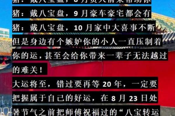 95猪男和98年虎女结婚吉日 95猪男和98年虎女结婚吉日