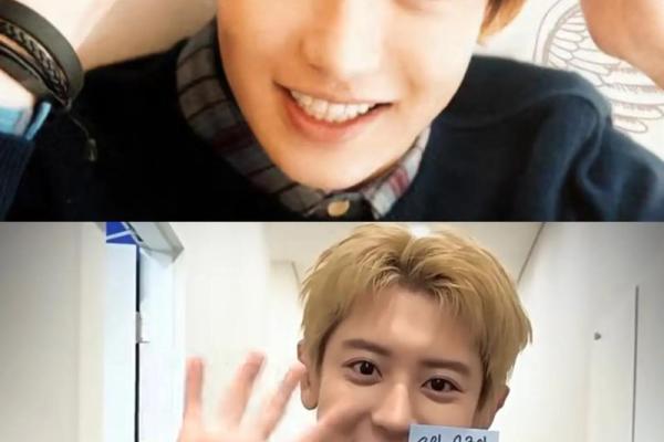 灿烈八字 灿烈八字