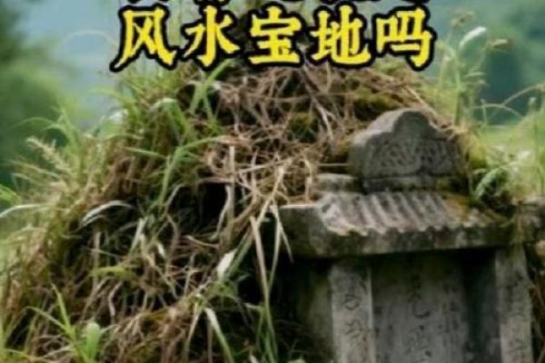 传说中的风水祖坟故事都有哪些