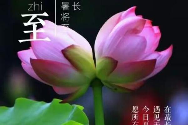 2024年夏至出生的孩子八字解析 一生运程如何 2024年夏至出生的孩子八字解析 一生运程如何