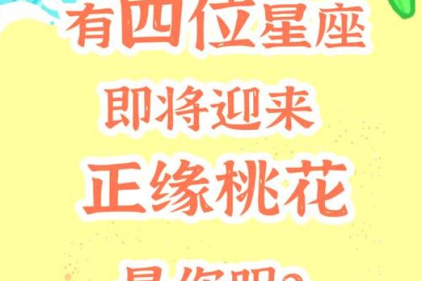 塔罗测试：三月你的桃花运？