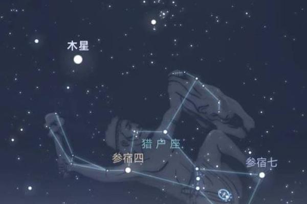 猎户星座是什么座