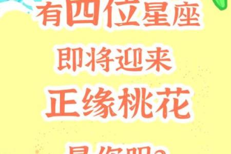 塔罗测试：三月你的桃花运？