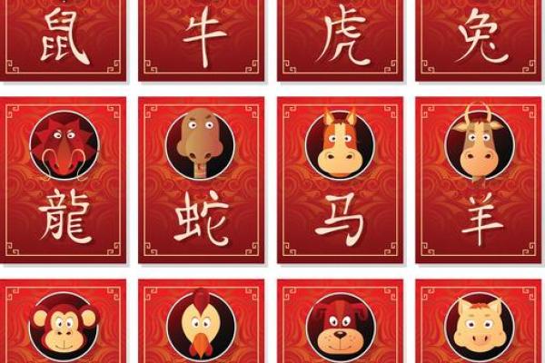 鼠的八字