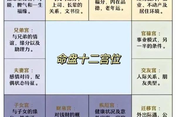 紫微斗数看美女 紫微斗数看美女格局？
