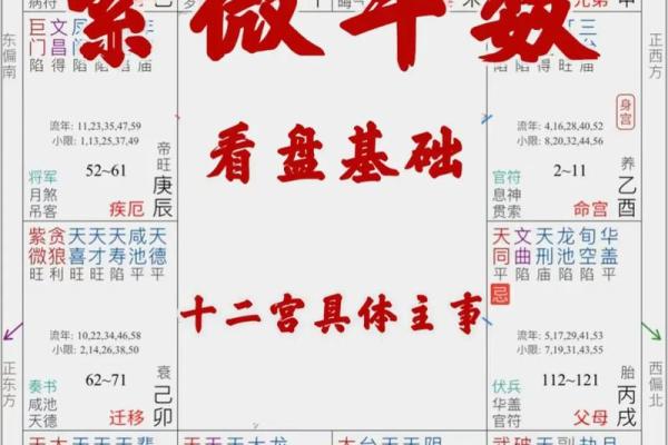 紫微斗数属金 紫薇斗数家有金矿？