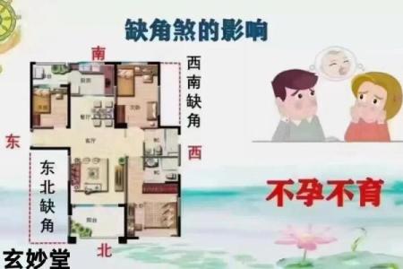 婚姻中老公容易出轨的居家风水