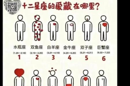 如何测自己的星座 怎么查自己的星座