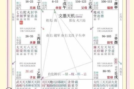 紫薇斗数看怀孕年限