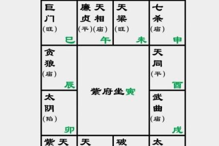 紫薇斗数的财星和官星