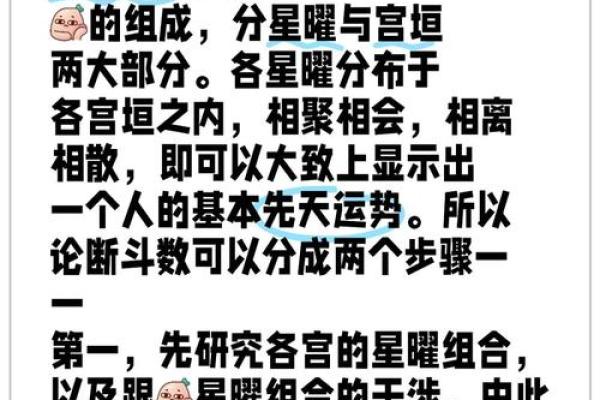 紫薇斗数步骤