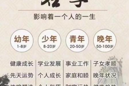 婴儿八字