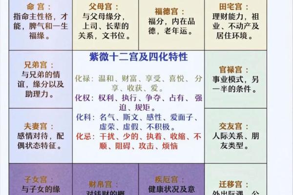 紫微斗数神缘 紫微斗数 解神？
