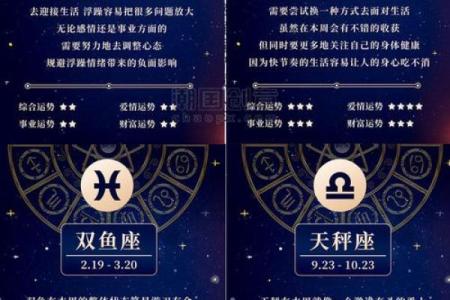 the9每个人的星座运势