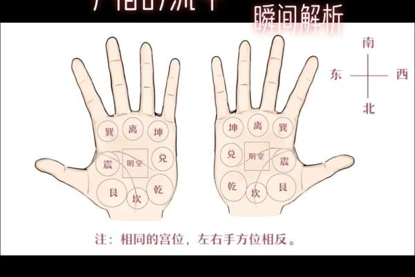 手指算命,手指掐算算命图解