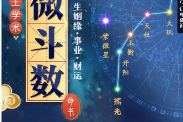 紫薇斗数天府男
