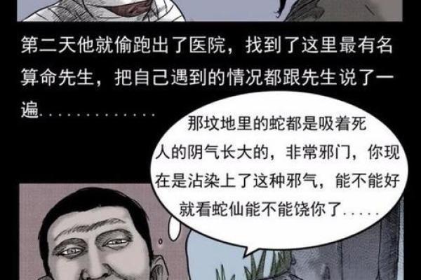 算命的人说要报复我怎么办