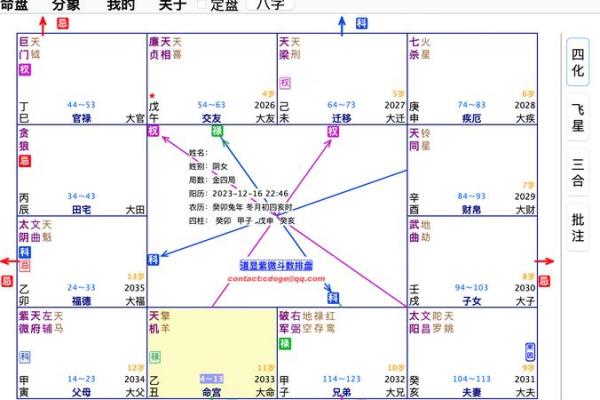 紫微命盘和紫薇斗数盘