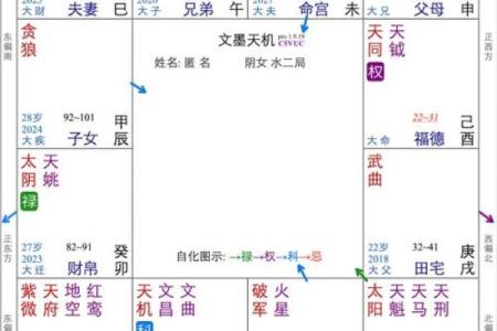紫薇斗数行限详解