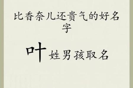 2019年6月29号子时出生的男孩起名时要注意什么姓名