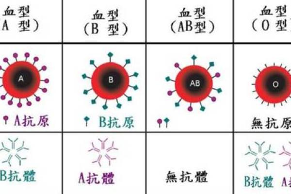 姓名血型星座算命,星座血型测试 姓名血型星座算命,星座血型测试