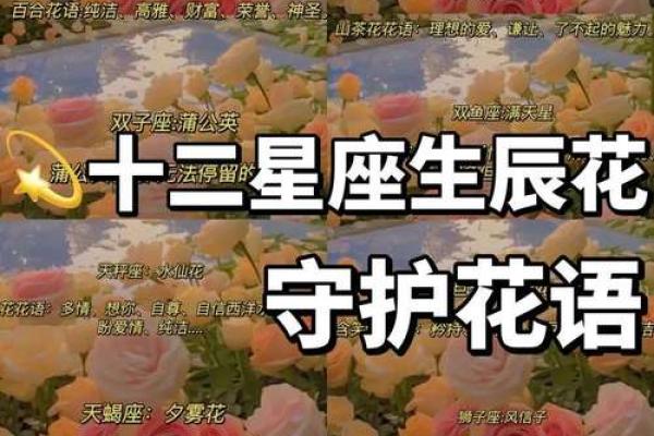 告别hello星座:有效消除星座迷信,拥有幸福人生 告别hello星座:有效消除星座迷信,拥有幸福人生