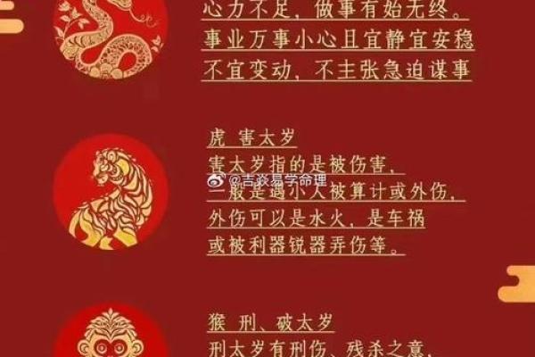 八字太岁 八字太岁