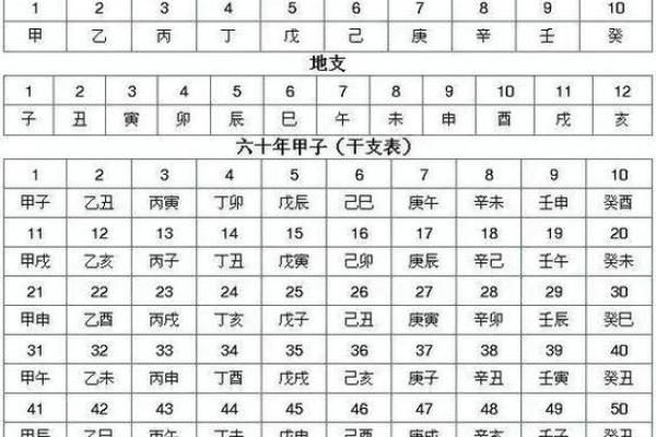 八字基础,干支阴阳差异 八字基础,干支阴阳差异