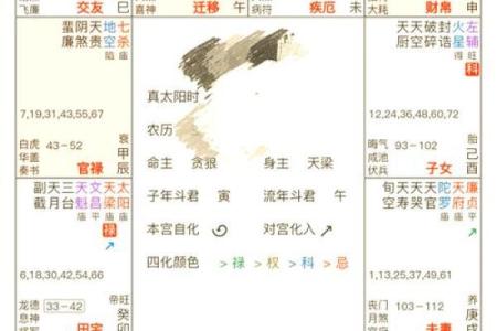 紫薇斗数无命格