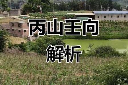 丙山壬向兼午子风水