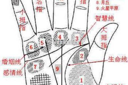 一斗穷二斗富指纹算命 手相运势分析