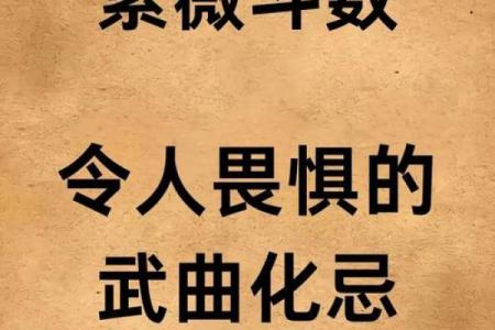 紫薇斗数中疾