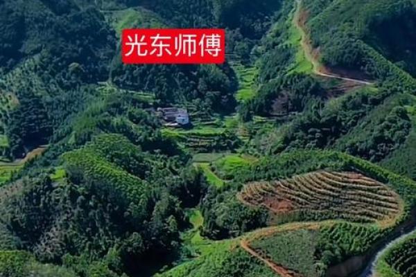 犀牛望月风水宝地 犀牛望月风水宝地