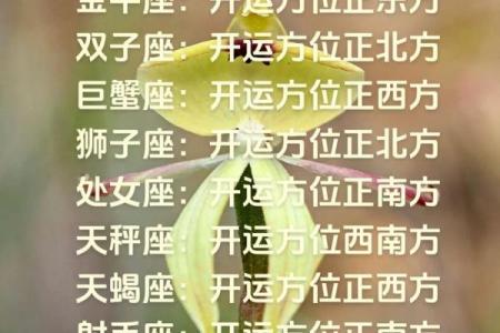 我要听十二星座明日运势