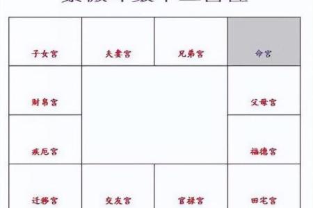紫薇命盘紫薇斗数
