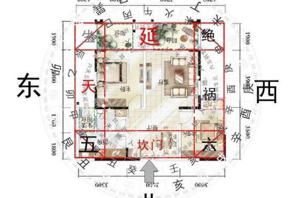 房子中间放什么旺风水 房子中间放什么旺风水