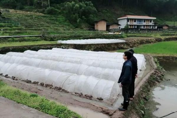 八字农民 八字农民