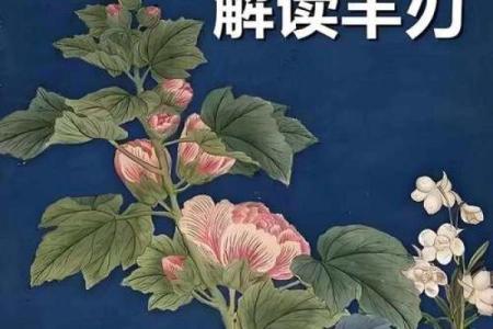 八字弱命年柱有羊刃