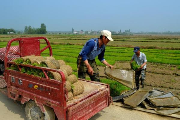 合肥庐江算命王先生在哪 合肥庐江算命王先生在哪