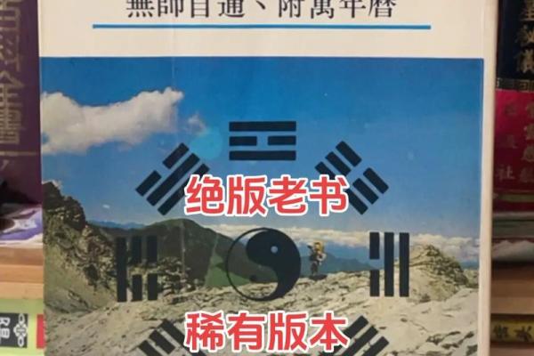 实用紫薇斗数全书 实用紫薇斗数全书