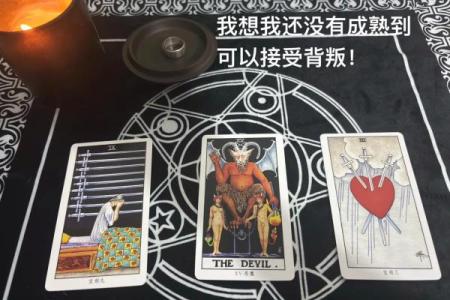 塔罗牌测试:你会在什么时候离婚