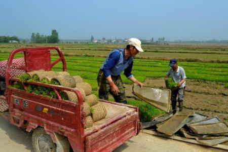 合肥庐江算命王先生在哪
