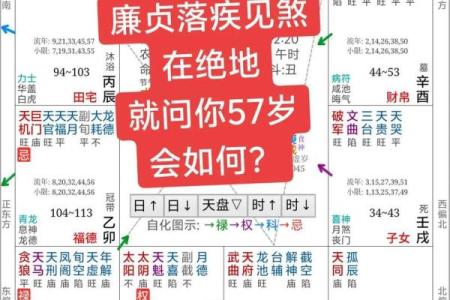 紫微斗数在线流年 紫微斗数流年运程测算?