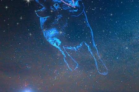 金牛座星座下月运势