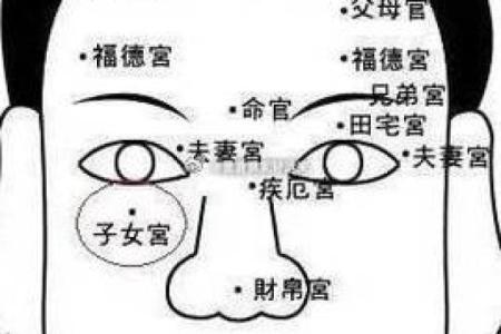面相三只眼什么意思  算命说三只眼是什么意思
