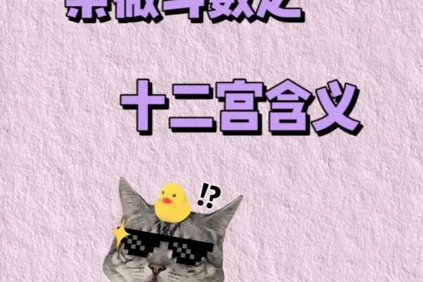 紫薇斗数拜师 紫薇斗数拜师